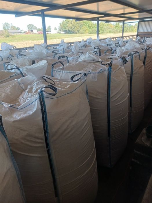 Sprzedam kukurydzę zmielone ziarno ccm