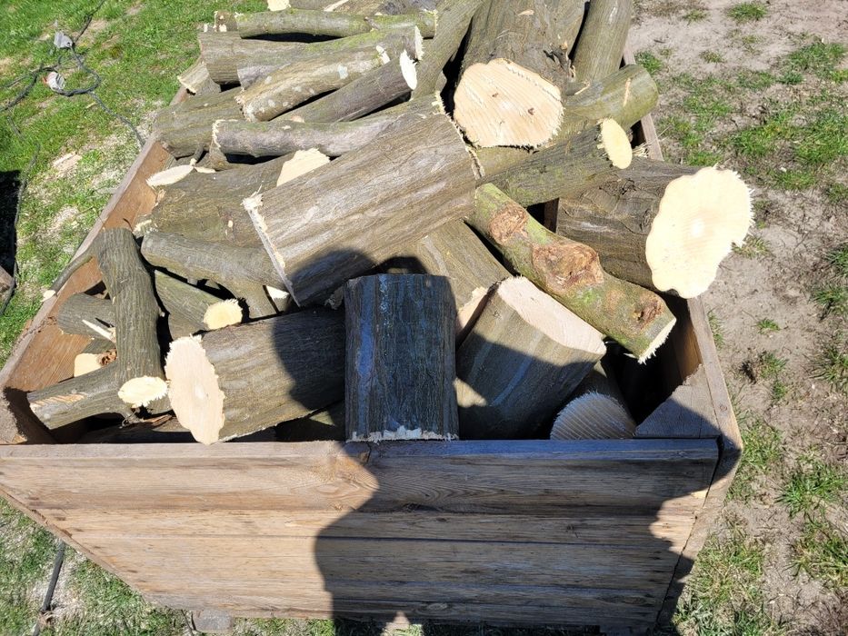 Drzewo opałowe, kominkowe liściaste Dąb, Grab