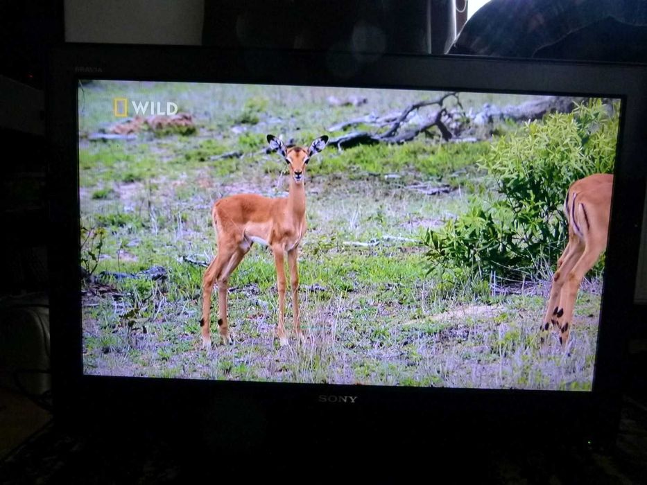 Telewizor Sony Bravia 32'' KDL-32P3000 LCD + pilot SPRAWNY