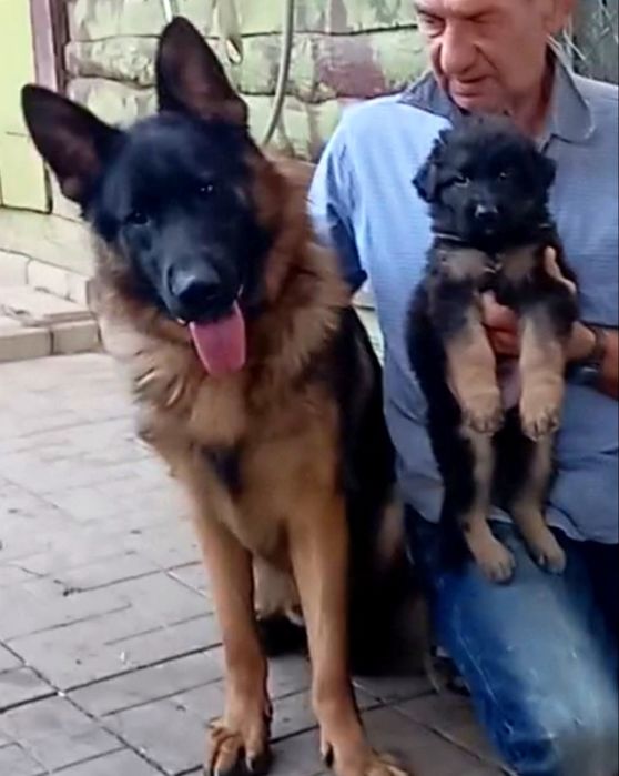 Малыши из питомника.