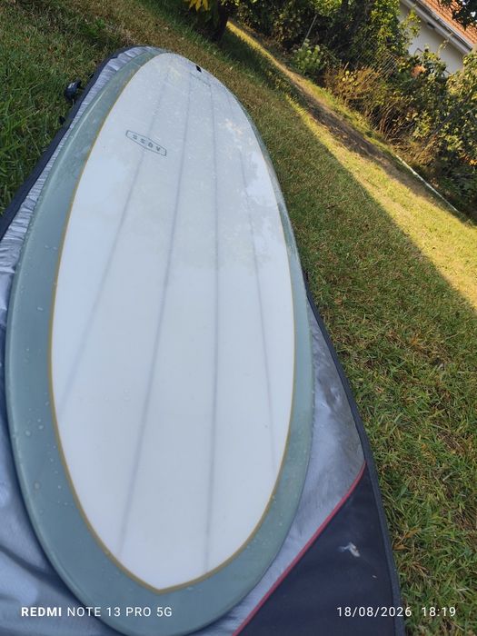 Prancha Aqss  whale bronze nova