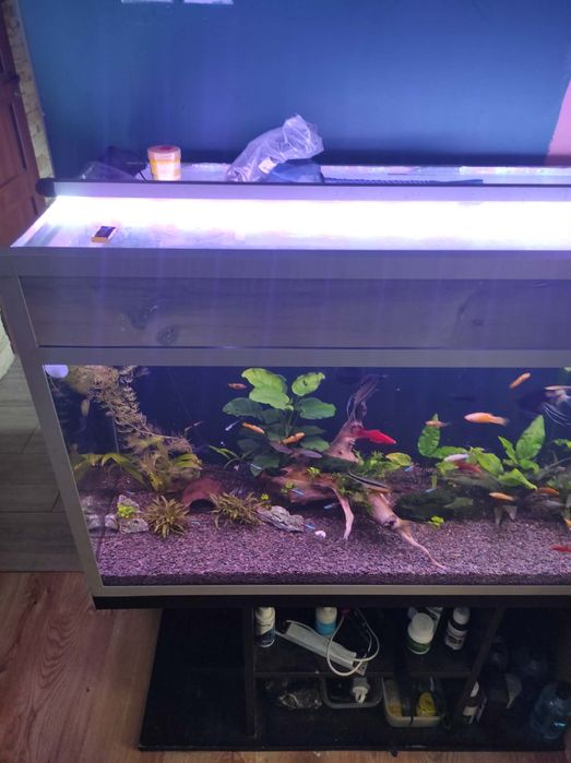 Akwarium 200l cały komplet