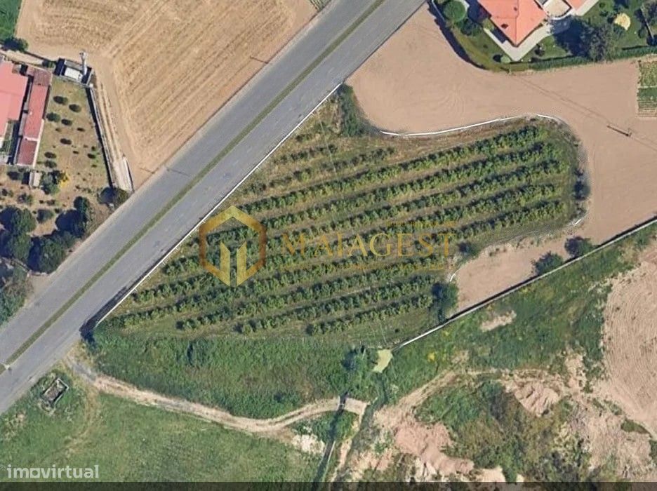 Terreno para construção de prédios em Gueifães