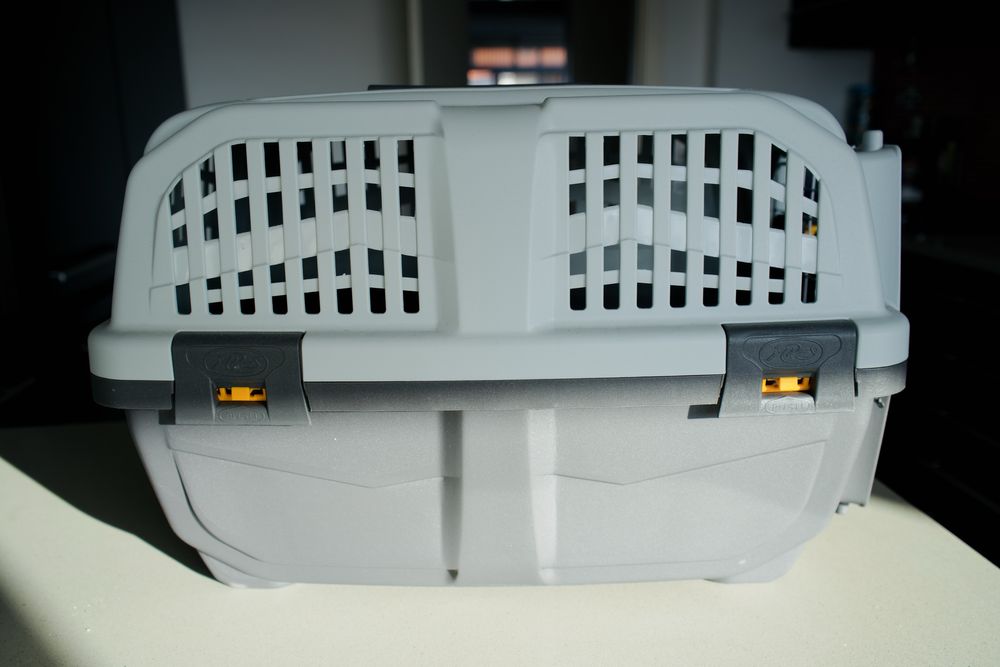 Nova caixa para animais