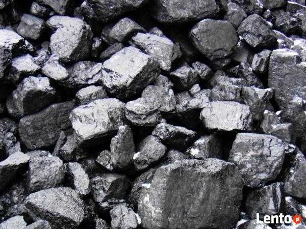 Polski Gruby Węgiel Kostka