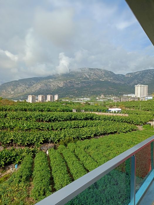 Оренда квартири Аланія 1+1