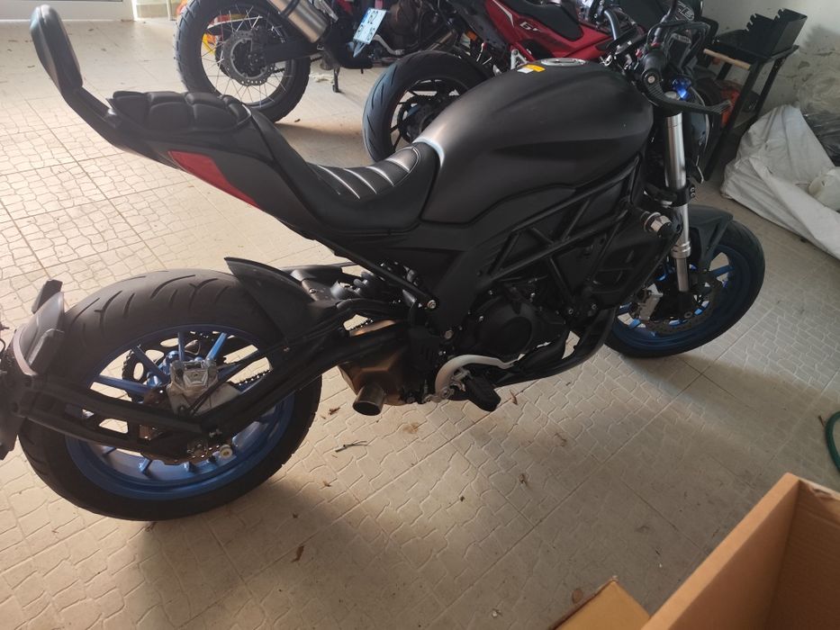 Benelli 502c de 2019