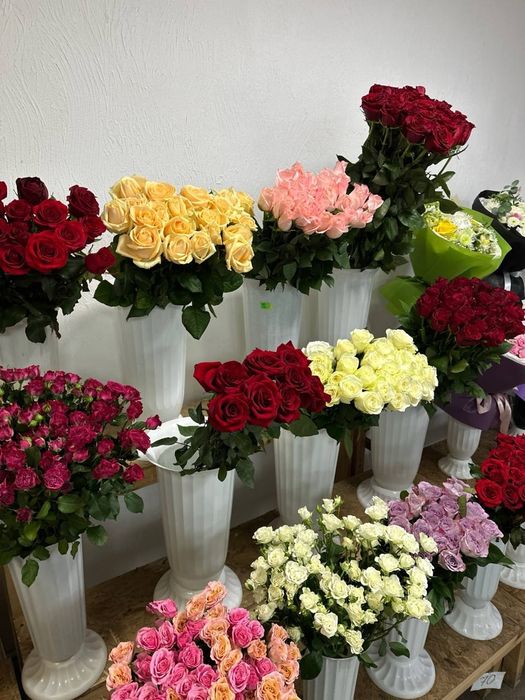 Розы поштучно, и букеты: 51, 101 роза Одесса по оптовым ценам