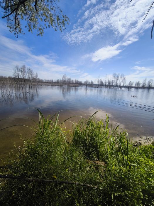 Ціна знижена до 1.03 Земельна ділянка 6 соток Лютіж