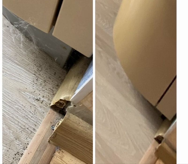 Клінінг квартир будинків прибирання офісів генеральне