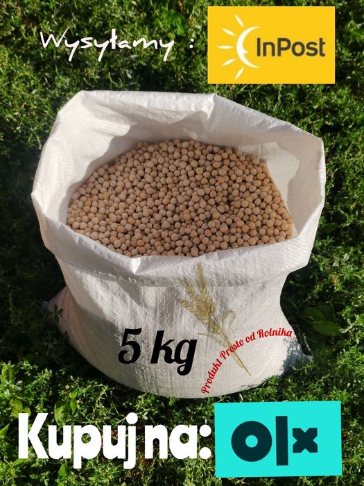 Groch opakowanie 5kg wysyłamy natychmiast Inpost