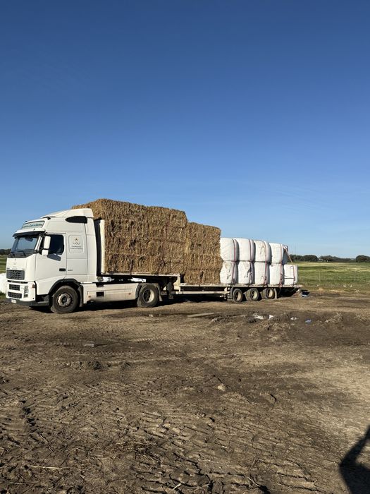Vende-se feno semeado ESPECIAL