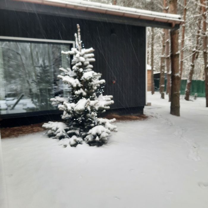 Domek Leśniczówka Gorzewo pow.gostyniński