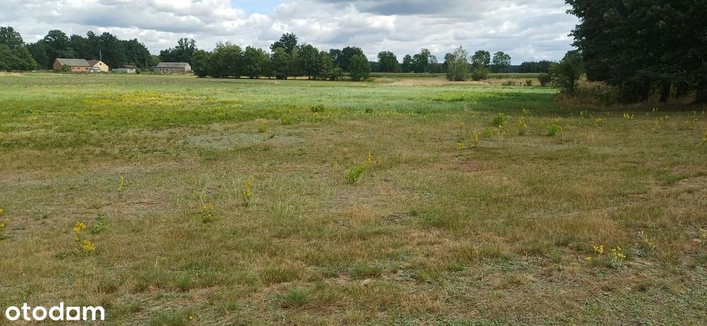 Działka rolna 12000 m² w spokojnej wsi - Widok 2