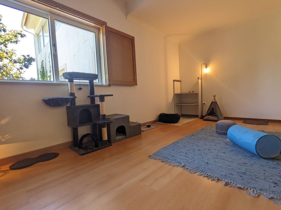 CAT HOTEL. Hotel para gatos. Hospedagem Familiar para Gatos