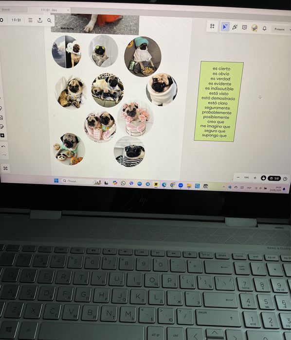 Репетитор Іспанської Репетитор Испанского