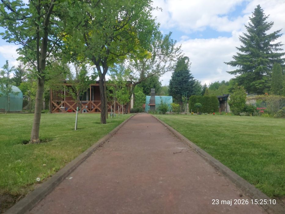 Działka ROD 35 Lecia Godów 400m² - Widok 6