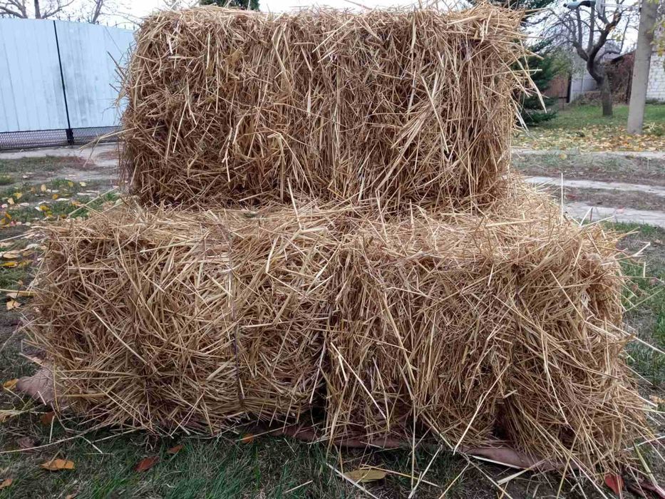 Продам солому пшениці в тюках