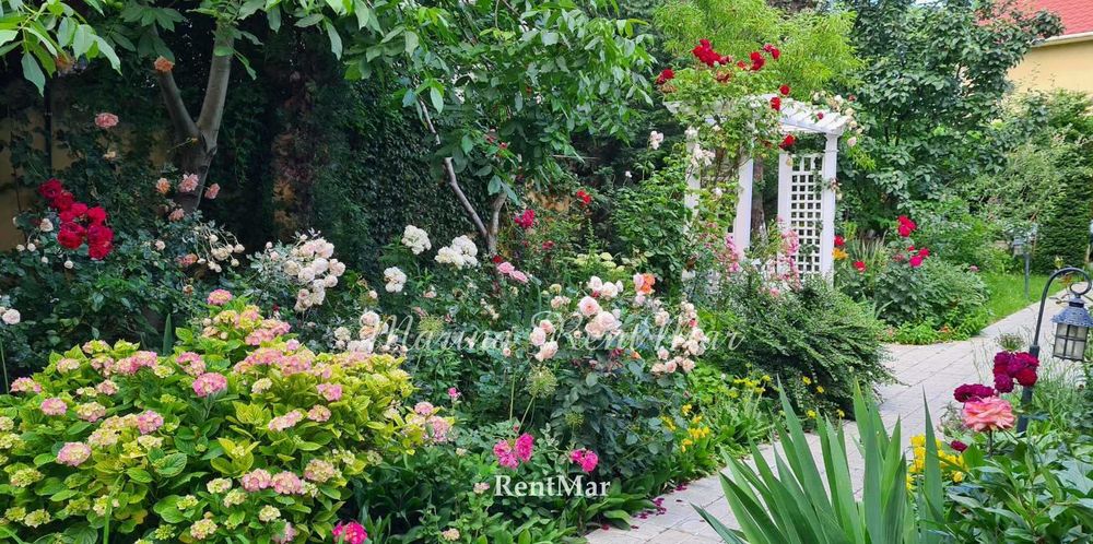 Просторный Дом  12-я Фонтана  Закрытый кооператив