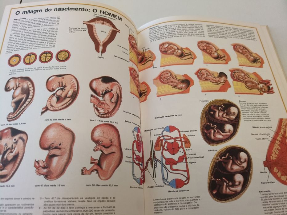 Maravilhas da Natureza de David Sharp