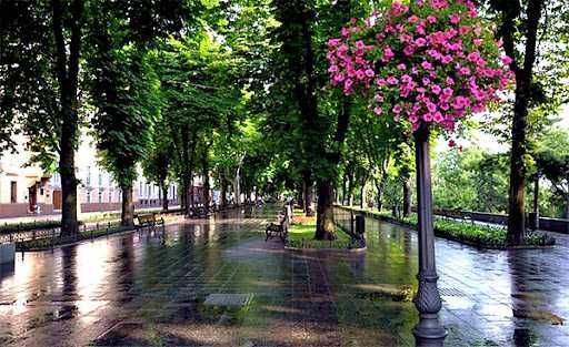 В центре Одессы, Дерибасовская 3 мин,от хозяина