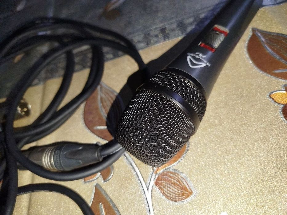 Динамічний мікрофон WHARFEDALE DM5.0S SUPERCARDIO з перимикачем