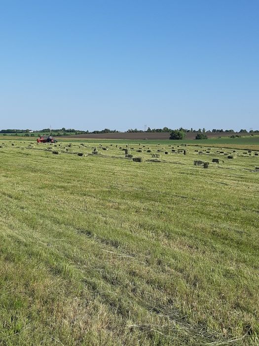 СІНО В ТЮКАХ,можлива доставка