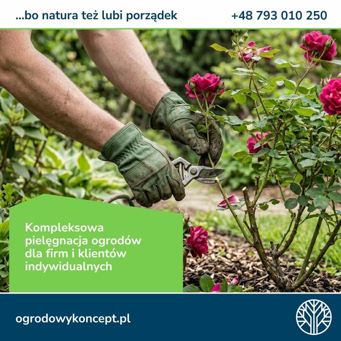 TY sadzisz, MY kosimy - konkurencję też!