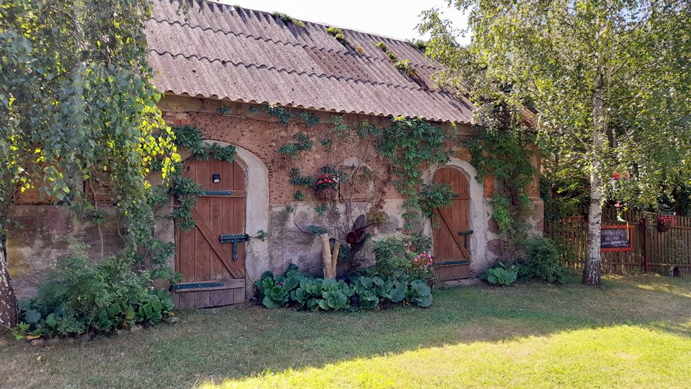 Dom wśród lasów nad Wkrą, 60km od W-wy