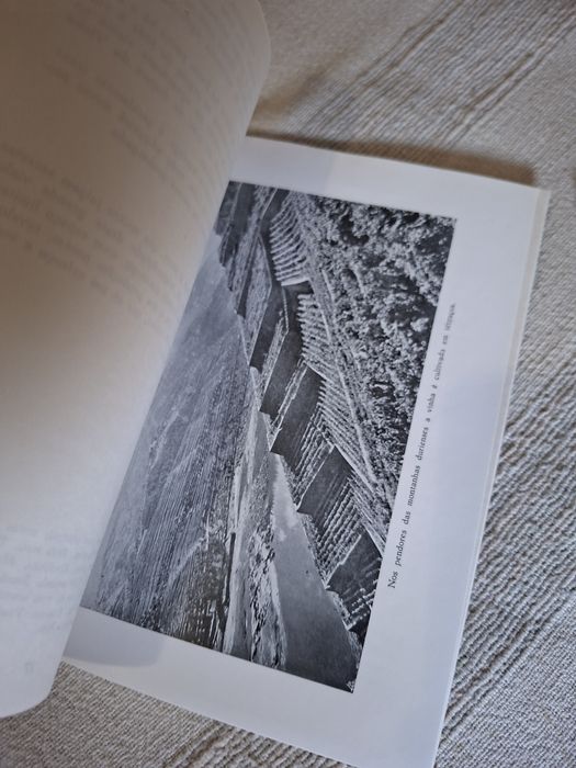Livro antigo do Instituto do Vinho do Porto