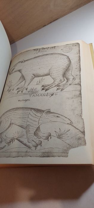 Histórias dos Animais e Árvores do Maranhão (1967)