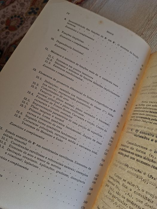 Lições de Análise Infinitesimal Cálculo Diferencial em R