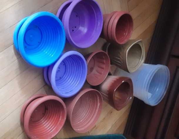 Горщіки Квіти Кротон Фікус Пеперомія