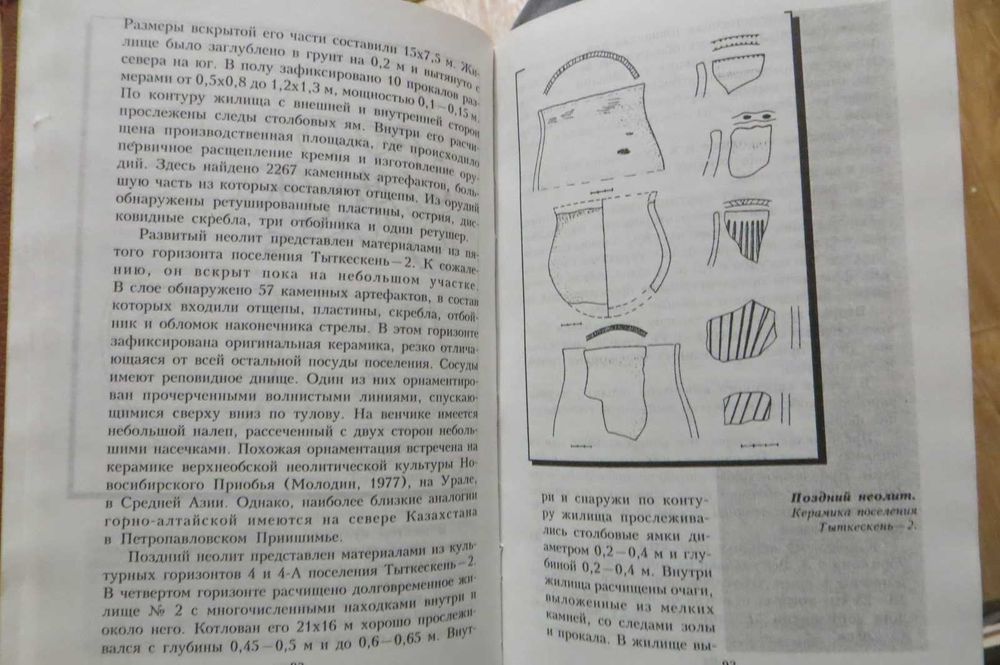 История Республики Алтай. Том I