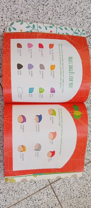 Livro aprender inglês