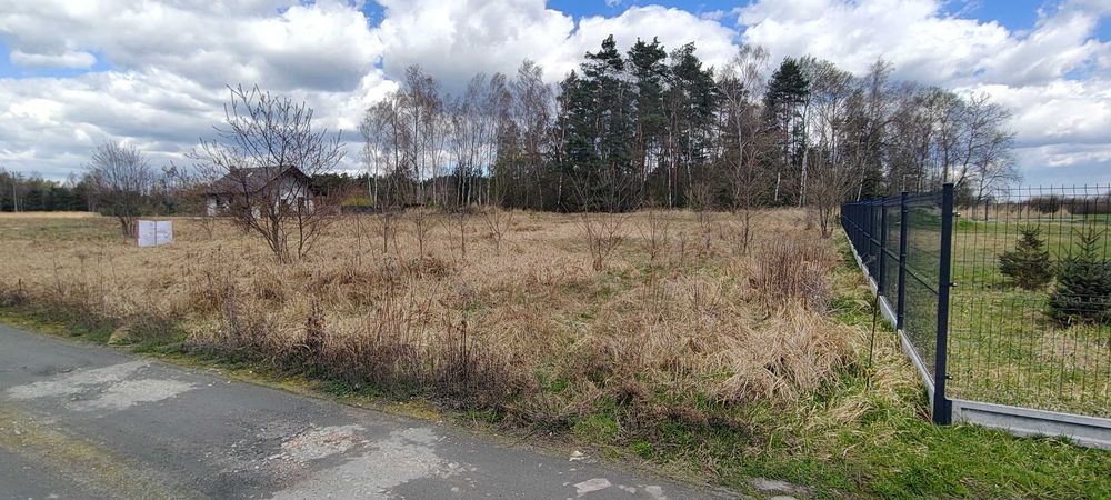 Działka, gdzie las staje się Twoim ogrodem - Tworóg