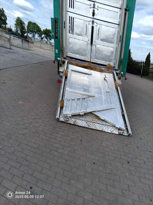 Daf do przewozu zwierząt