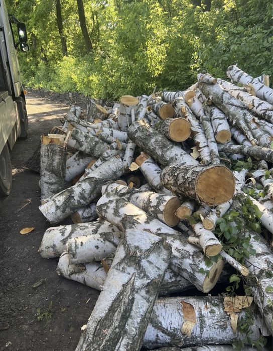 Дрова акация дуб ольха береза колотые метровые твердых пород твердые