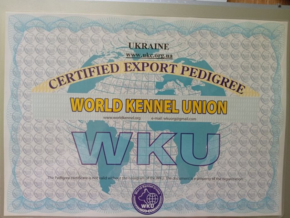 Красавчик ищет себе девочку