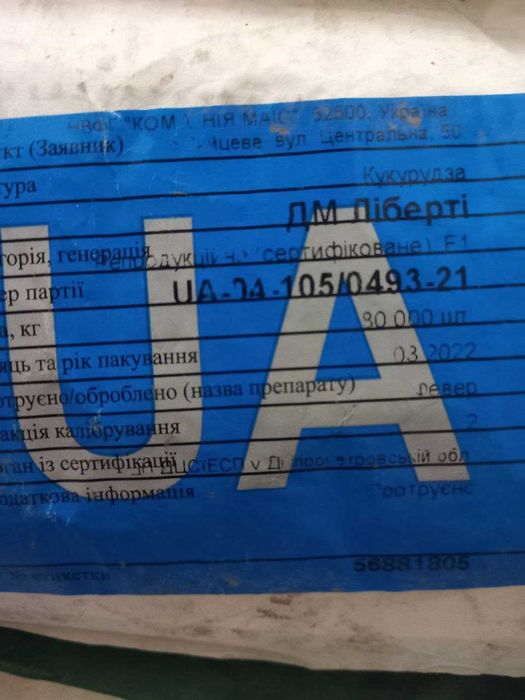 Насіння кукурудзи Маіс ДМС 3111, та ДМ Ліберті