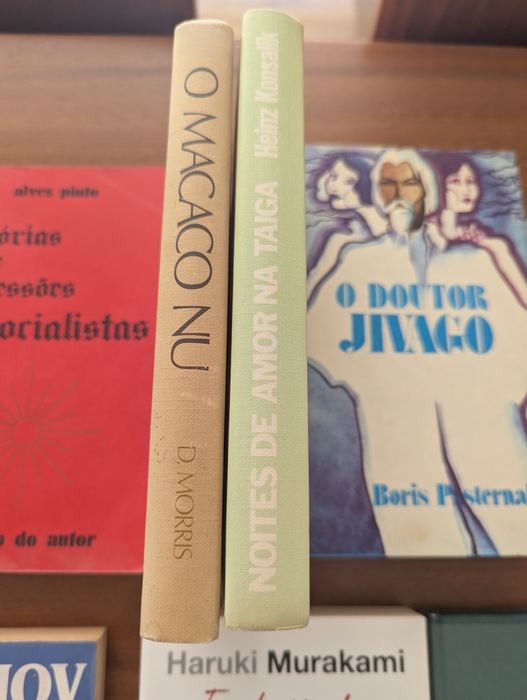 Lote Livros (Murakami; J Picoult; Asimov; João Tordo; Joanne Harris)