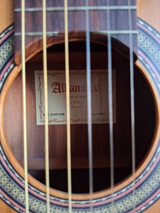 Viola acustica Alhambra Z-Nature + Bag