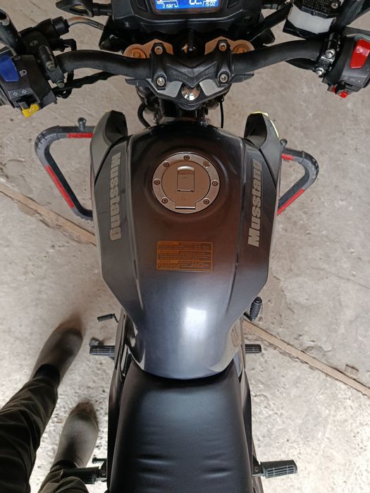 Мустанг фортуна 200