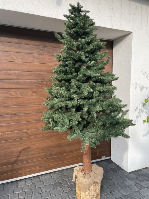 Choinka sztuczna na pniu 240 cm Używana