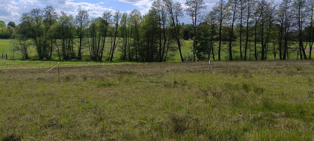 Działki pod zabudowę - Widok 4