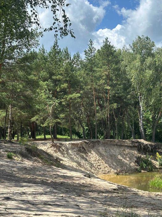 Продаж дачі в живописному місці біля річки та лісу, СТ «Механізатор»