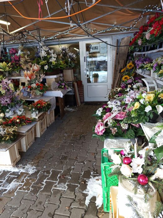 Sprzedam gotowy biznes kwiaciarnia Lublin Majanek