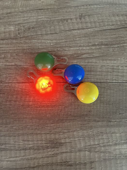 Ошейник, поводок, рулетка, миски для кота , для собаки