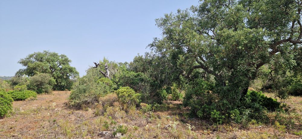 Terreno com água e luz com 8ha
