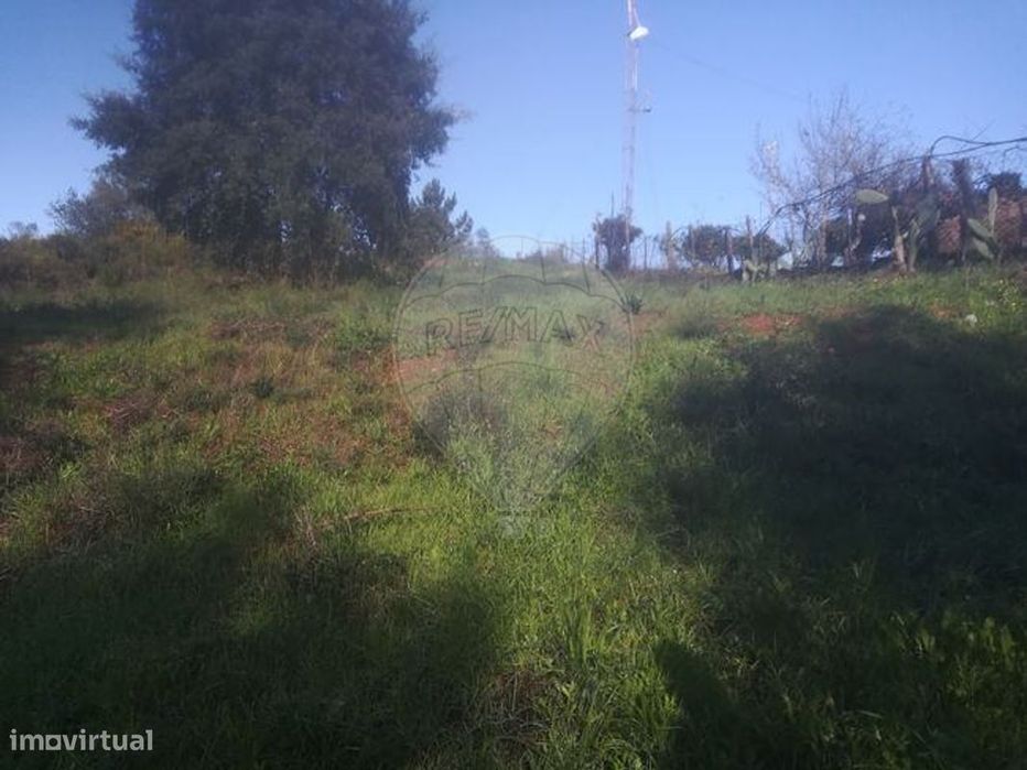 Terreno  para venda — Casais E Alviobeira, Santarém